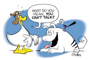 Duck-Gorr_1